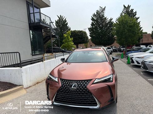Used 2025 Lexus UX 300h FWD w/ Cold Area Package image 1