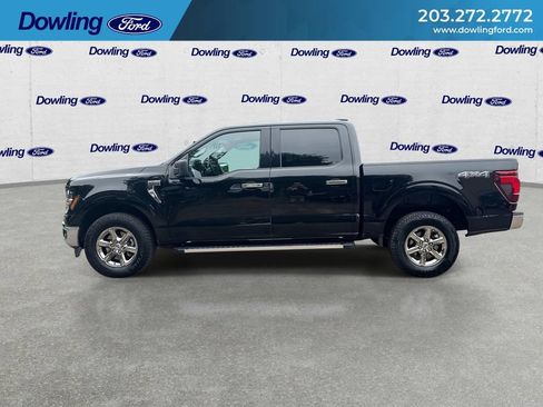 Used 2025 Ford F150 XLT w/ Equipment Group 301A Standard AWD/4WD image 5