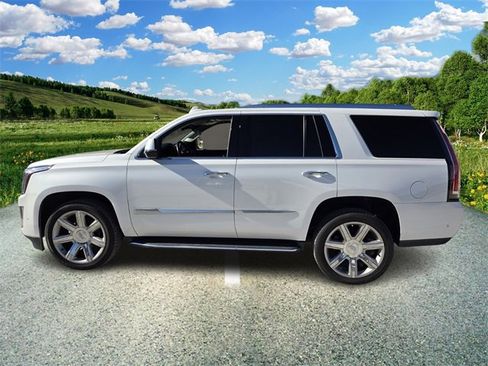 Used 2019 Cadillac Escalade Luxury image 4