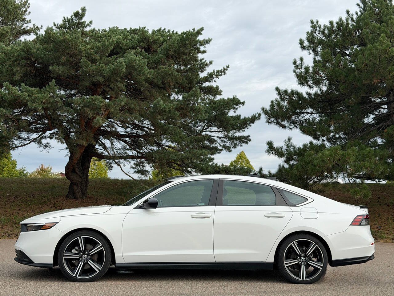 Used 2023 Honda Accord Sport image 2