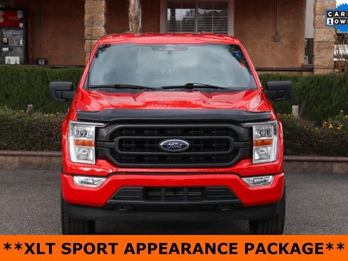 Used 2022 Ford F150 XLT w/ Equipment Group 301A Mid image 3