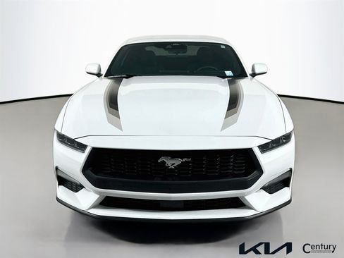 Used 2025 Ford Mustang Coupe w/ Wheel & Stripe Package RWD image 2