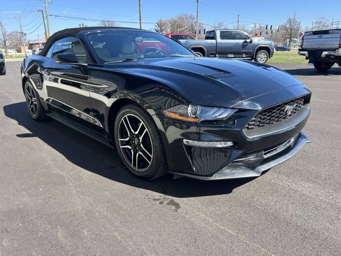 Used 2019 Ford Mustang Premium image 7