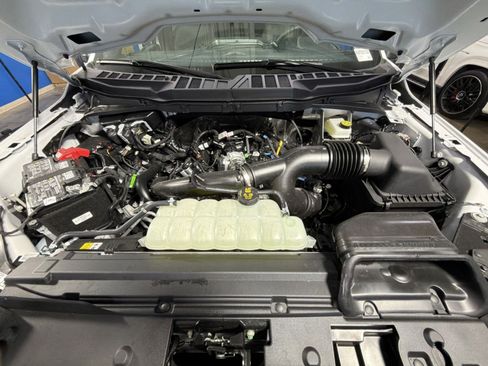 New 2026 Ford F150 STX w/ Equipment Group 200A image 33