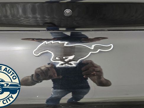 Used 2021 Ford Mustang Mach-E Premium AWD/4WD image 32