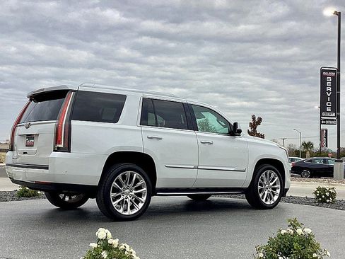 Used 2020 Cadillac Escalade Luxury image 5