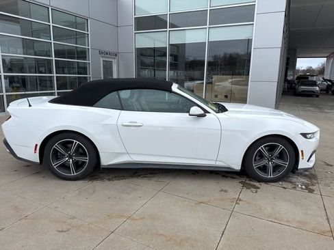 Used 2024 Ford Mustang Premium image 8