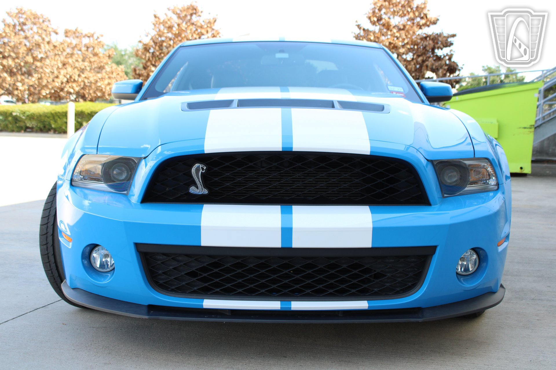Used 2010 Ford Mustang Shelby GT500 RWD image 36