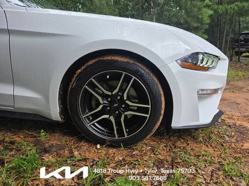 Used 2019 Ford Mustang Coupe w/ Equipment Group 101A RWD image 7