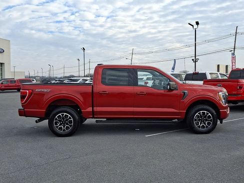 Certified 2023 Ford F150 XLT w/ Equipment Group 302A High image 7