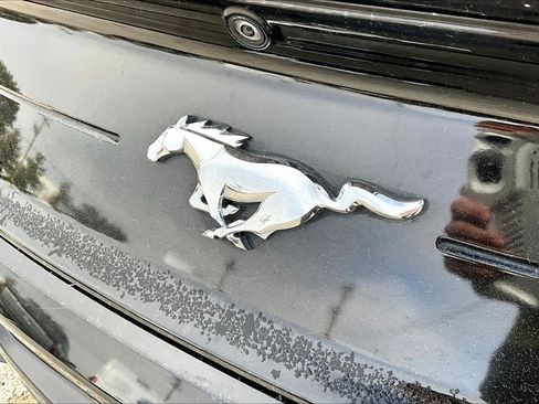 Used 2020 Ford Mustang EcoBoost w/ Equipment Group 101A image 31