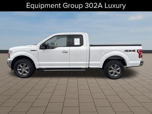 Used 2019 Ford F150 XLT w/ Equipment Group 302A Luxury image 3