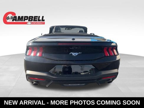 Used 2025 Ford Mustang Premium RWD image 4