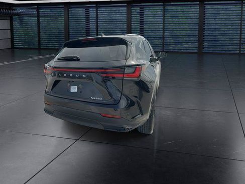 Certified 2024 Lexus NX 250 FWD w/ Cold Area Package image 8