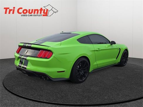 Used 2016 Ford Mustang Shelby GT350 image 8