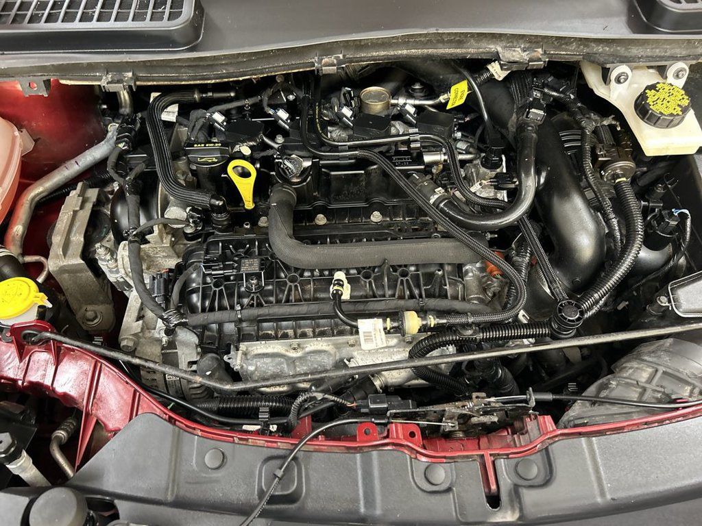 Used 2019 Ford Escape SE AWD/4WD image 25