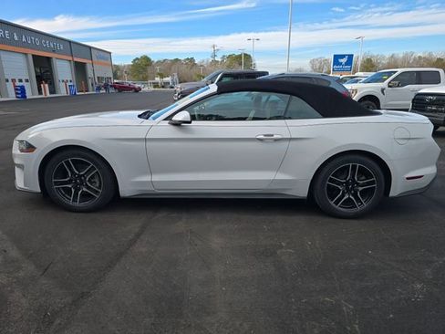 Used 2019 Ford Mustang Premium image 2
