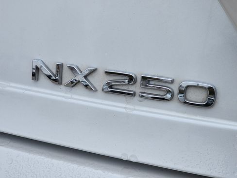 Certified 2024 Lexus NX 250 FWD w/ Premium Package image 14