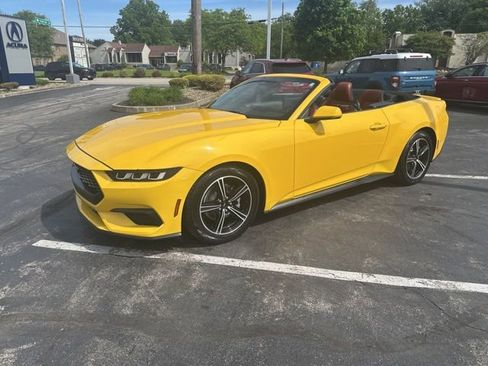 Used 2024 Ford Mustang Premium RWD image 1