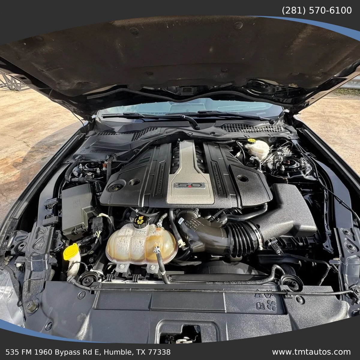Used 2020 Ford Mustang GT w/ Equipment Group 301A RWD image 22