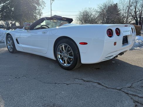 Used 2004 Chevrolet Corvette Convertible w/ Preferred Equipment Group image 7
