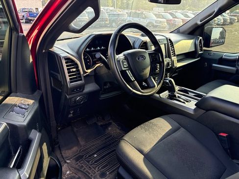Used 2019 Ford F150 XLT w/ Equipment Group 302A Luxury AWD/4WD image 7