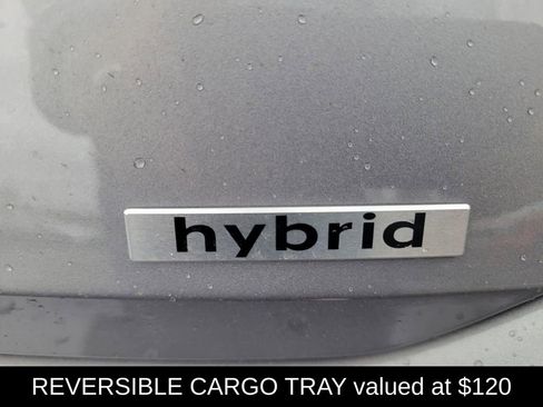 Used 2025 Hyundai Elantra Limited image 5