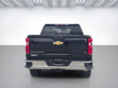 Used 2023 Chevrolet Silverado 1500 LT w/ Texas Edition Plus