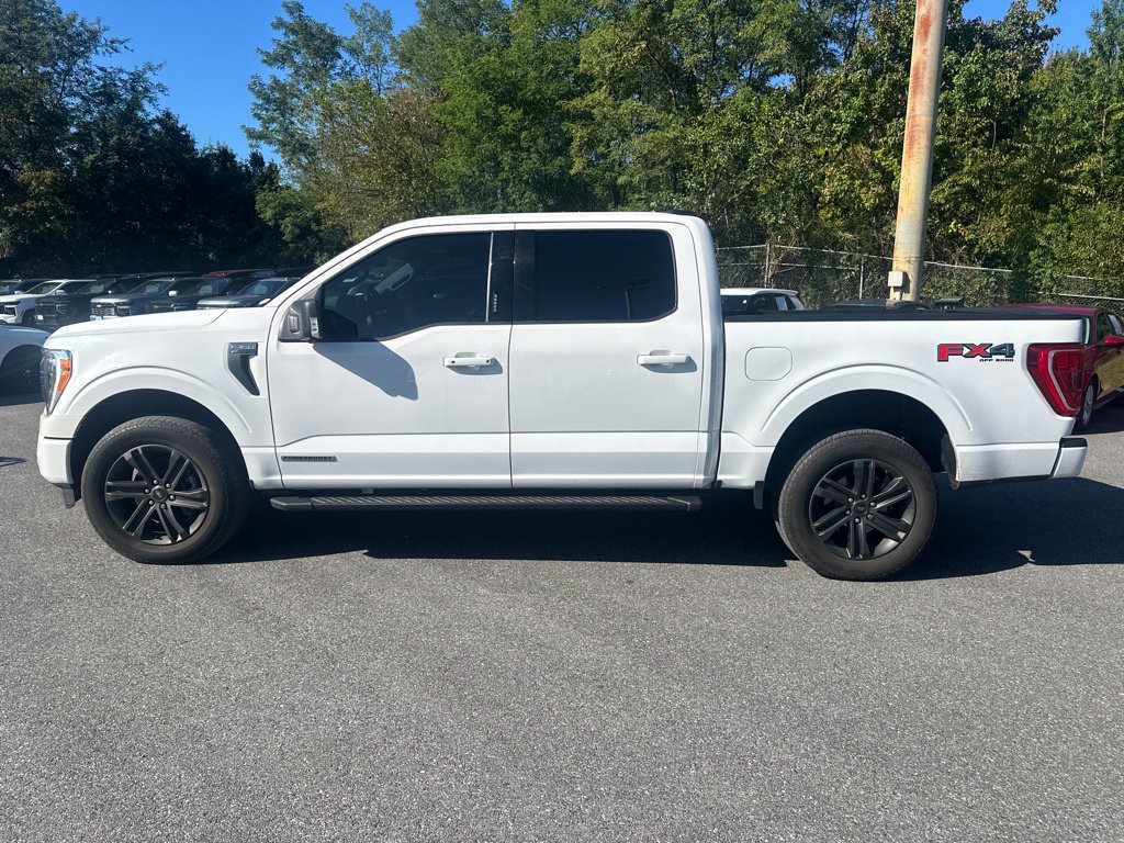 Used 2021 Ford F150 XLT w/ Equipment Group 302A High AWD/4WD image 8