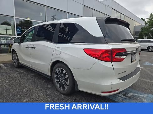 Used 2023 Honda Odyssey EX-L image 5