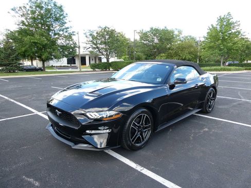 Used 2019 Ford Mustang Premium RWD image 1