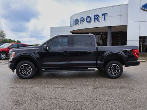 Used 2023 Ford F150 XLT w/ Equipment Group 302A High image 2