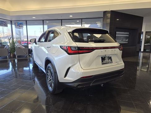 Certified 2024 Lexus NX 350h AWD w/ Vision Package image 5