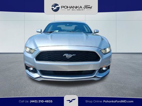 Used 2015 Ford Mustang Coupe w/ Equipment Group 051A RWD image 2