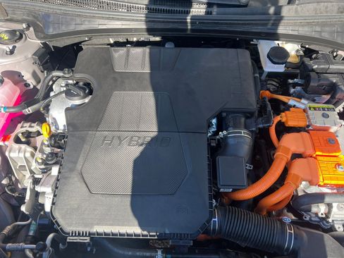 Used 2025 Hyundai Elantra Limited image 32