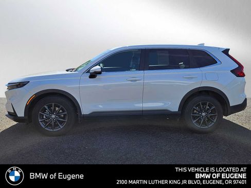 Used 2026 Honda CR-V EX-L image 6