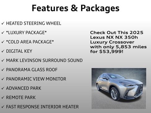 Used 2025 Lexus NX 300h 350h Luxury image 4