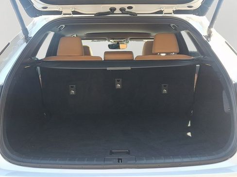 Used 2023 Lexus RX 350 Premium w/ Cold Area Package image 29