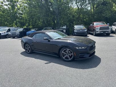 Used 2024 Ford Mustang Premium