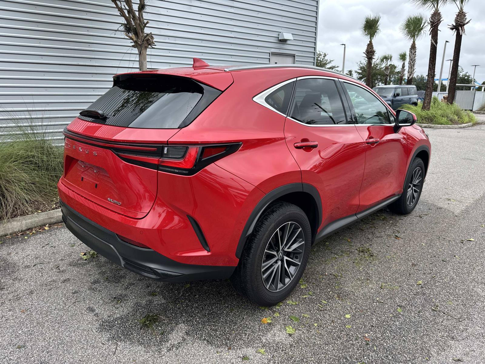 Used 2024 Lexus NX 250 FWD image 6