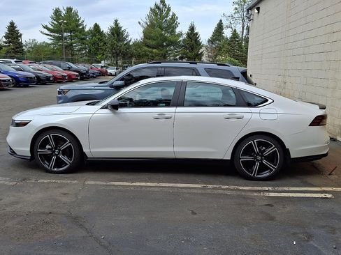 Used 2025 Honda Accord Sport image 4