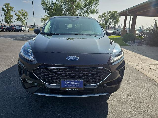 Certified 2022 Ford Escape SE AWD/4WD image 3