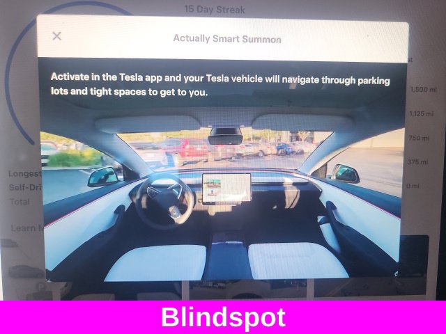 Used 2021 Tesla Model 3 Performance AWD/4WD image 5