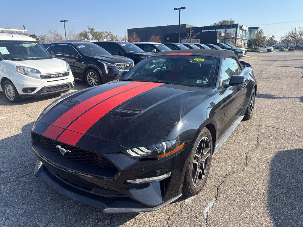 Used 2018 Ford Mustang Premium w/ Equipment Group 201A RWD image 1