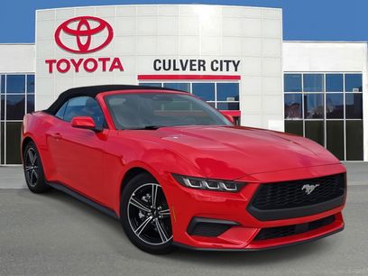 Used 2025 Ford Mustang Premium