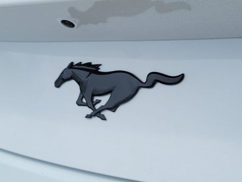 New 2026 Ford Mustang Convertible w/ Mustang Nite Pony Package RWD image 10