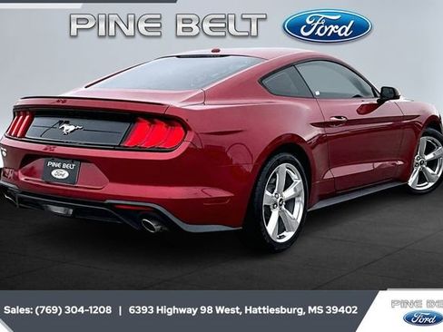 Used 2019 Ford Mustang Coupe w/ Equipment Group 101A image 11