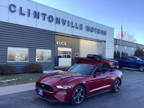 Used 2019 Ford Mustang Premium w/ Equipment Group 101A image 1