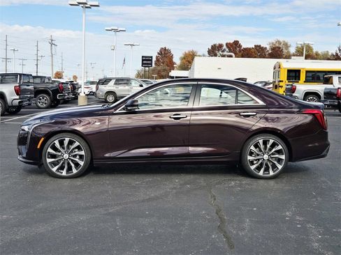 Used 2021 Cadillac CT4 Premium Luxury image 6