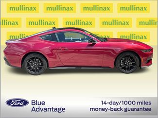 Used 2025 Ford Mustang Coupe w/ Mustang Nite Pony Package RWD video 2